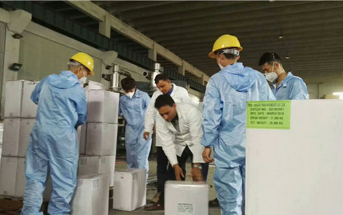 广东客户的高.端邦定机出厂测试